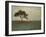 A Fleeting Glimpse-Liz Jardine-Framed Art Print