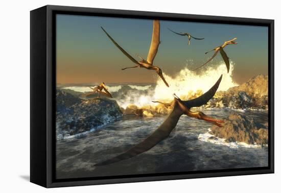 A Flock of Anhanguera Pterosaurs Catch Fish Off a Rocky Coast-Stocktrek Images-Framed Stretched Canvas