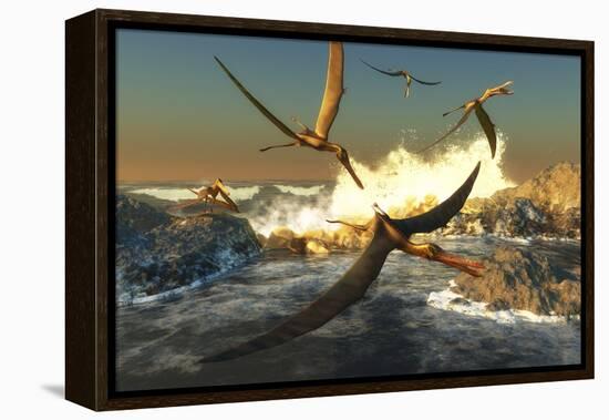 A Flock of Anhanguera Pterosaurs Catch Fish Off a Rocky Coast-Stocktrek Images-Framed Stretched Canvas