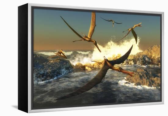 A Flock of Anhanguera Pterosaurs Catch Fish Off a Rocky Coast-Stocktrek Images-Framed Stretched Canvas