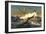 A Flock of Anhanguera Pterosaurs Catch Fish Off a Rocky Coast-Stocktrek Images-Framed Art Print