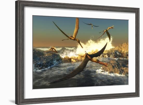 A Flock of Anhanguera Pterosaurs Catch Fish Off a Rocky Coast-Stocktrek Images-Framed Art Print