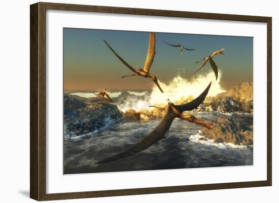 A Flock of Anhanguera Pterosaurs Catch Fish Off a Rocky Coast-Stocktrek Images-Framed Art Print