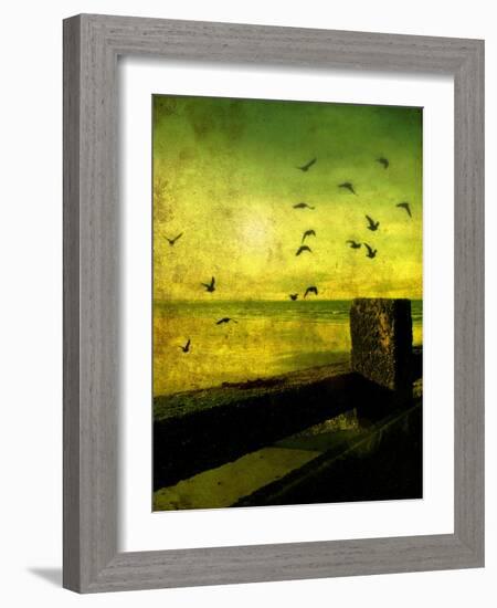 A Flock of Birds Flying over a Beach Scene with Breakers-Cristina Carra Caso-Framed Photographic Print