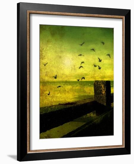 A Flock of Birds Flying over a Beach Scene with Breakers-Cristina Carra Caso-Framed Photographic Print