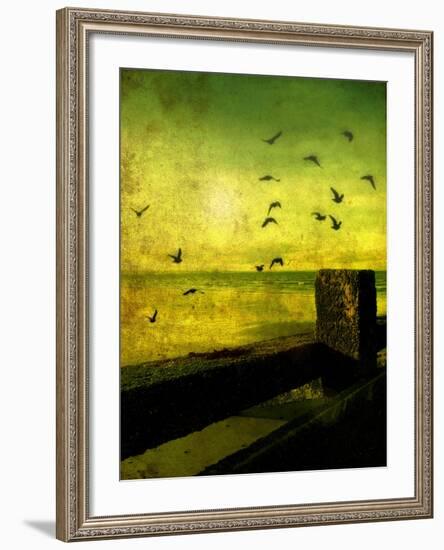 A Flock of Birds Flying over a Beach Scene with Breakers-Cristina Carra Caso-Framed Photographic Print