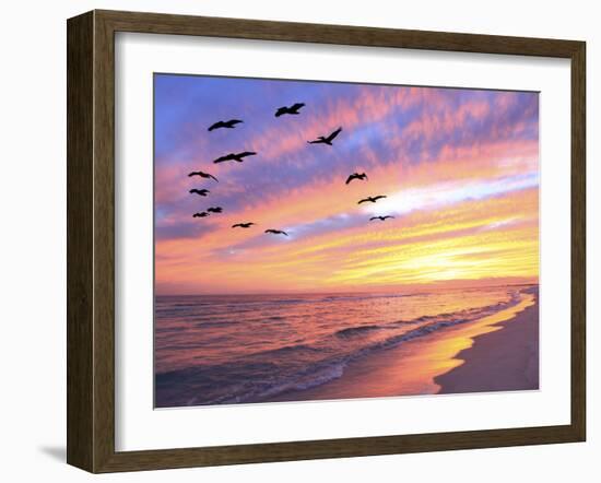 A Flock of Brown Pelicans Fly over the Beach as the Sun Sets-Steve Bower-Framed Photographic Print