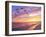 A Flock of Brown Pelicans Fly over the Beach as the Sun Sets-Steve Bower-Framed Photographic Print