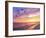 A Flock of Brown Pelicans Fly over the Beach as the Sun Sets-Steve Bower-Framed Photographic Print