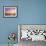 A Flock of Brown Pelicans Fly over the Beach as the Sun Sets-Steve Bower-Framed Photographic Print displayed on a wall