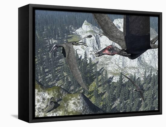 A Flock of Dorygnathus-Stocktrek Images-Framed Premier Image Canvas