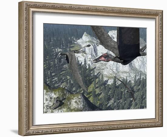 A Flock of Dorygnathus-Stocktrek Images-Framed Photographic Print