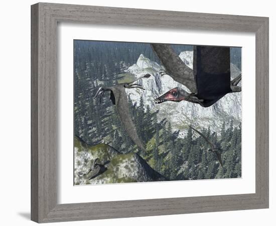 A Flock of Dorygnathus-Stocktrek Images-Framed Photographic Print