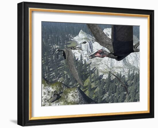 A Flock of Dorygnathus-Stocktrek Images-Framed Photographic Print