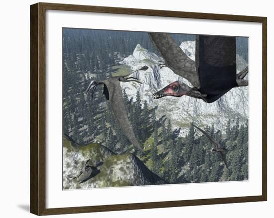 A Flock of Dorygnathus-Stocktrek Images-Framed Photographic Print