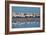 A Flock of Greater Flamingos Near Walvis Bay, Namibia-Alex Saberi-Framed Photographic Print