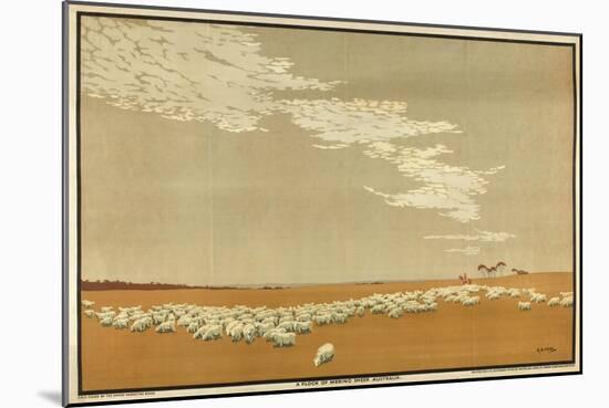 A Flock of Merino Sheep - Australia, from the Series 'Australia's Wealth of Wheat and Wool'-Archibald Bertram Webb-Mounted Giclee Print