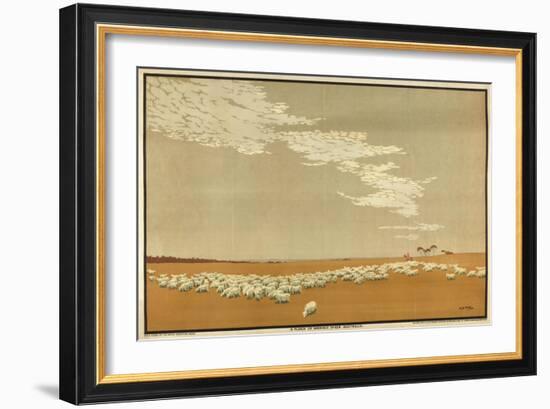 A Flock of Merino Sheep - Australia, from the Series 'Australia's Wealth of Wheat and Wool'-Archibald Bertram Webb-Framed Giclee Print