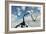 A Flock of Pteranodons Flying on a Sunny Cretaceous Day-null-Framed Premium Giclee Print