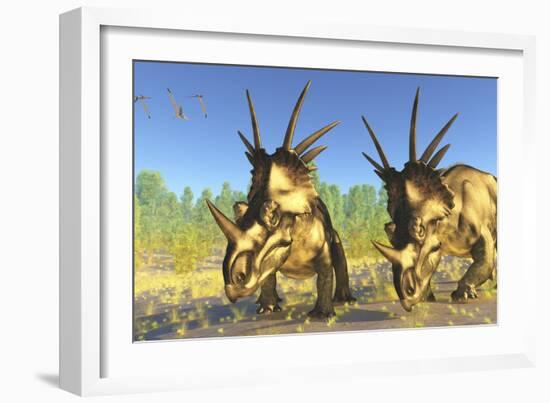 A Flock of Pterodactylus Fly Above Two Styracosaurus Dinosaurs-Stocktrek Images-Framed Art Print