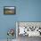 A Flock of Sheep in the Pastures of Mount Padrio, Orobie Alps, Valtellina, Lombardy, Italy, Europe-Roberto Moiola-Framed Premier Image Canvas displayed on a wall