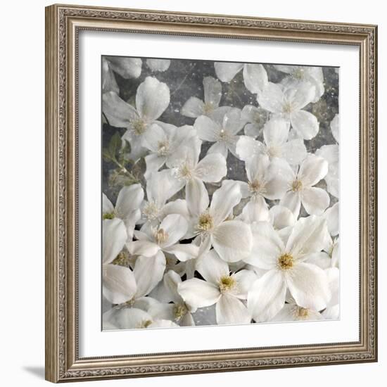 A Floral Montage from Clematis and Texture-Alaya Gadeh-Framed Photographic Print