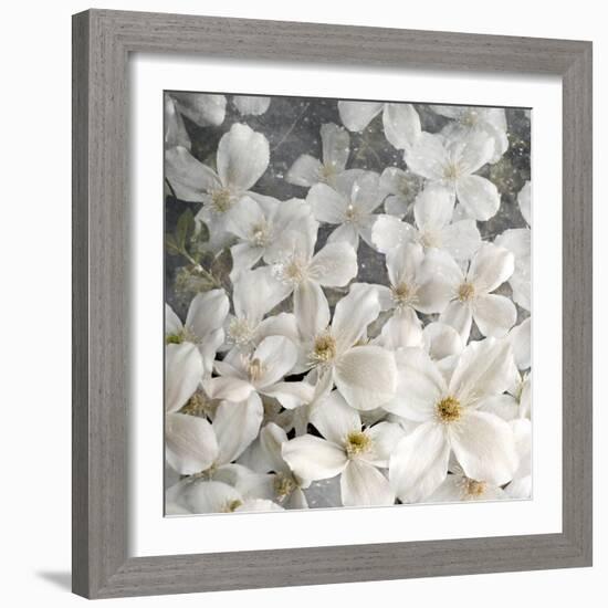 A Floral Montage from Clematis and Texture-Alaya Gadeh-Framed Photographic Print