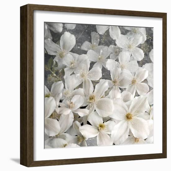 A Floral Montage from Clematis and Texture-Alaya Gadeh-Framed Photographic Print