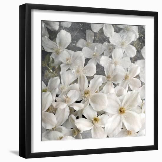 A Floral Montage from Clematis and Texture-Alaya Gadeh-Framed Photographic Print