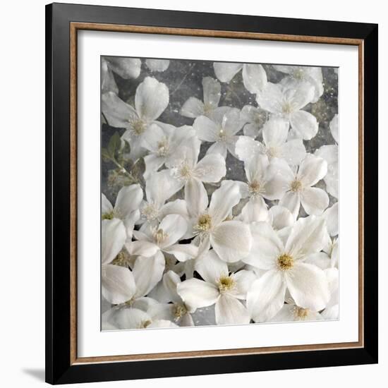 A Floral Montage from Clematis and Texture-Alaya Gadeh-Framed Photographic Print