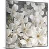 A Floral Montage from Clematis and Texture-Alaya Gadeh-Mounted Photographic Print