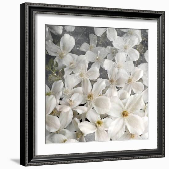 A Floral Montage from Clematis and Texture-Alaya Gadeh-Framed Photographic Print