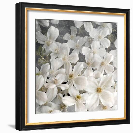 A Floral Montage from Clematis and Texture-Alaya Gadeh-Framed Photographic Print