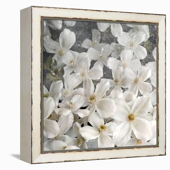 A Floral Montage from Clematis and Texture-Alaya Gadeh-Framed Premier Image Canvas