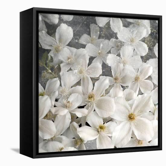 A Floral Montage from Clematis and Texture-Alaya Gadeh-Framed Premier Image Canvas