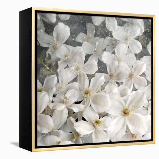 A Floral Montage from Clematis and Texture-Alaya Gadeh-Framed Premier Image Canvas