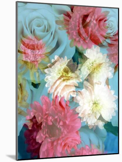 A Floral Montage from Flowers-Alaya Gadeh-Mounted Photographic Print