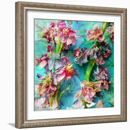 A Floral Montage from Flowers-Alaya Gadeh-Framed Photographic Print