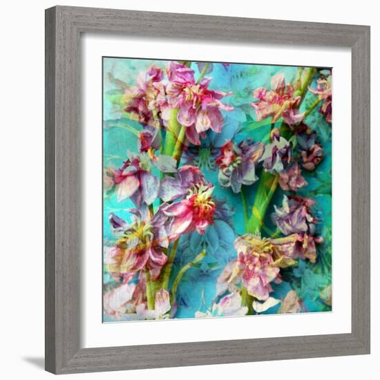 A Floral Montage from Flowers-Alaya Gadeh-Framed Photographic Print