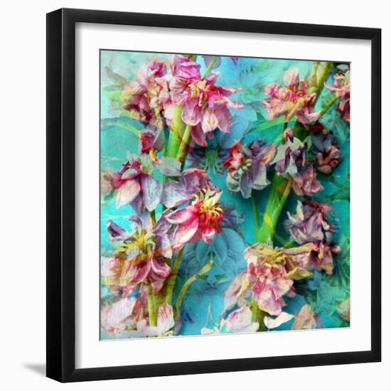 A Floral Montage from Flowers-Alaya Gadeh-Framed Photographic Print
