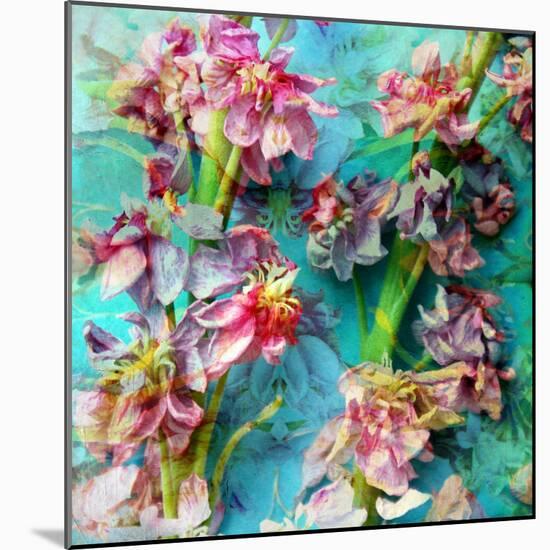 A Floral Montage from Flowers-Alaya Gadeh-Mounted Photographic Print