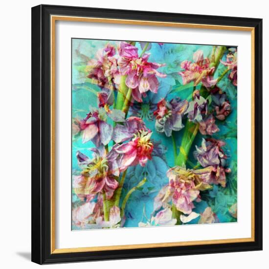 A Floral Montage from Flowers-Alaya Gadeh-Framed Photographic Print