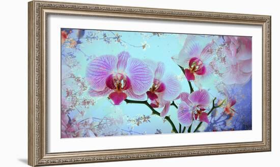 A Floral Montage from Orchid and Spring Trees-Alaya Gadeh-Framed Photographic Print