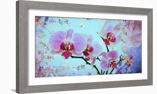 A Floral Montage from Orchid and Spring Trees-Alaya Gadeh-Framed Photographic Print