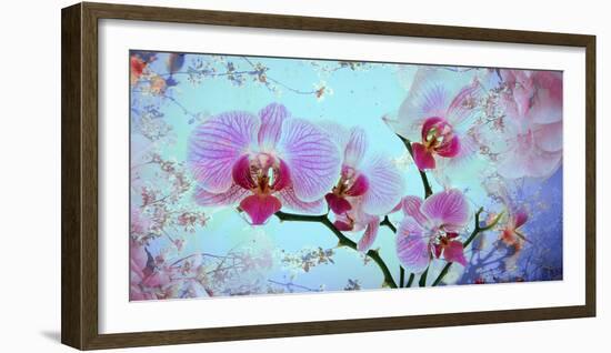 A Floral Montage from Orchid and Spring Trees-Alaya Gadeh-Framed Photographic Print