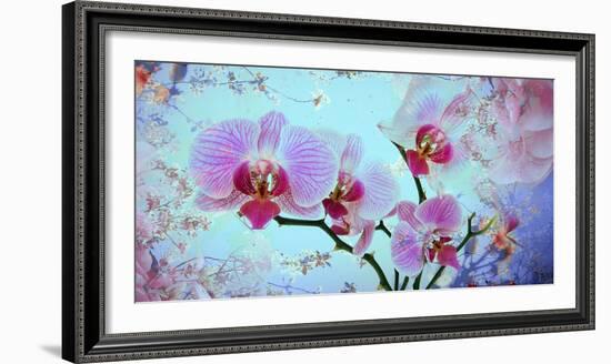 A Floral Montage from Orchid and Spring Trees-Alaya Gadeh-Framed Photographic Print