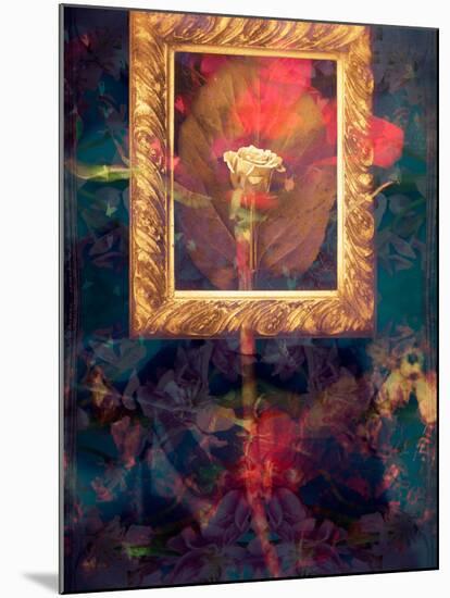 A Floral Montage from Roses in a Golden Frame-Alaya Gadeh-Mounted Photographic Print