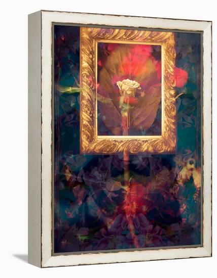 A Floral Montage from Roses in a Golden Frame-Alaya Gadeh-Framed Premier Image Canvas