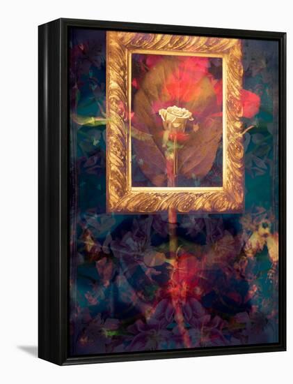 A Floral Montage from Roses in a Golden Frame-Alaya Gadeh-Framed Premier Image Canvas