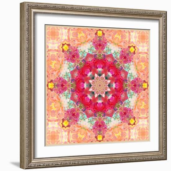 A Floral Montage, Layer Work from Pink and Red Poeny Blossoms and Pink Cherry Blossoms-Alaya Gadeh-Framed Photographic Print